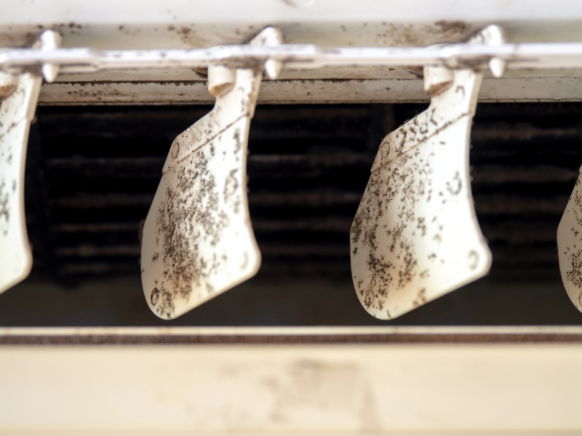 Close up of mold spores in air conditioner system's fins. 