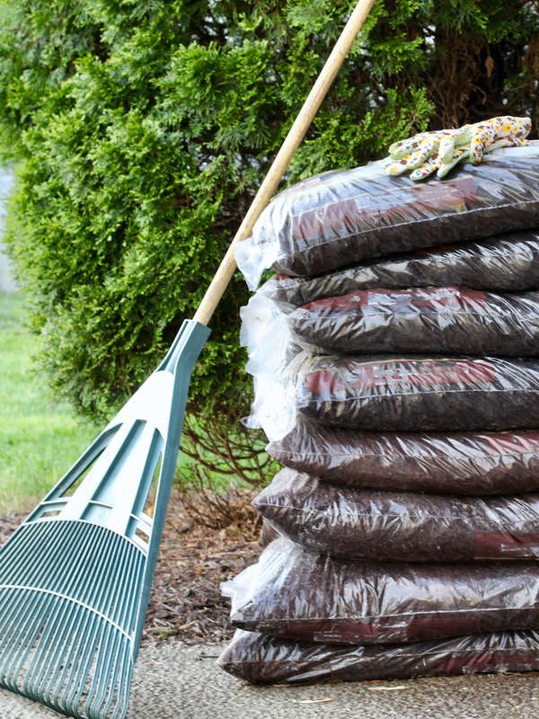 Rake leaning against a bag of mulch
