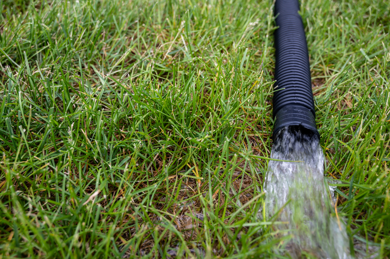 Residential sump pump discharging water through a flexible hose.