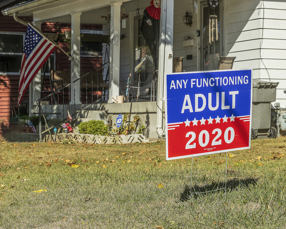 "Any adult" political sign in yard