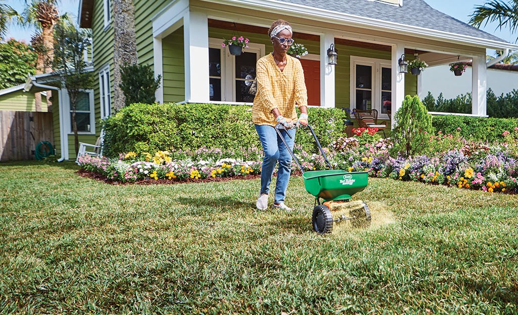 Woman applying gypsum to lawn with green fertilizer.