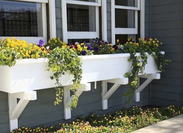 Double hung windows on gray house with white flower boxes