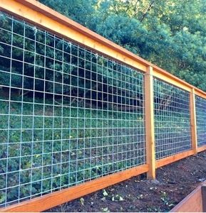 Hog Wire fence in backyard