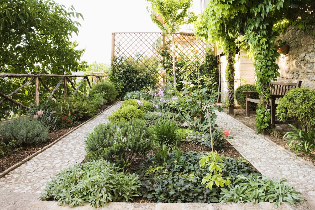 A private backyard with a trellis and garden beds.
