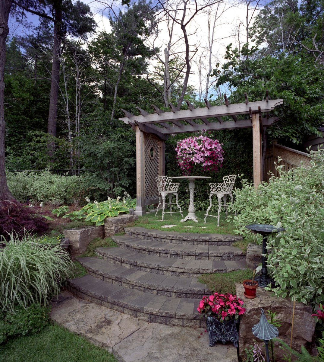 Backyard privacy space created by a pergola and plants.