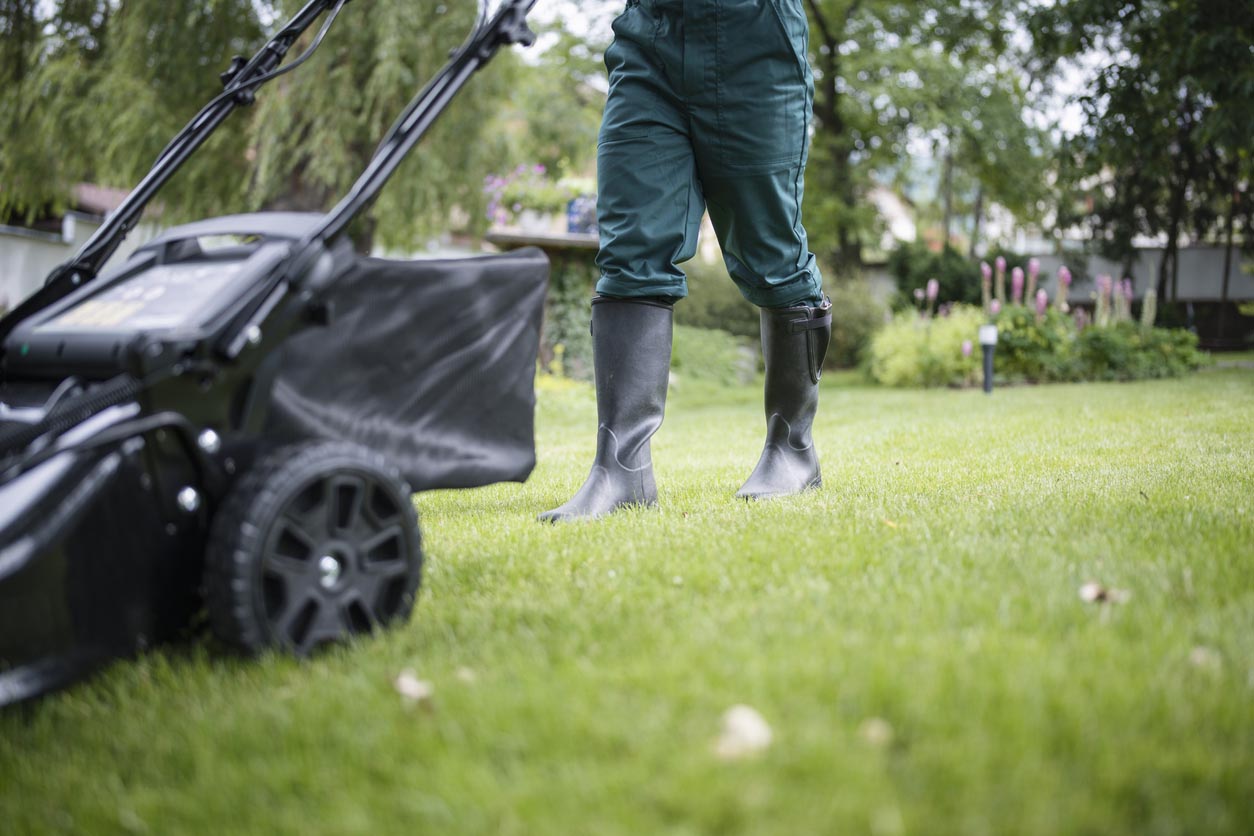 Lawn Care Business Start-Up Cost