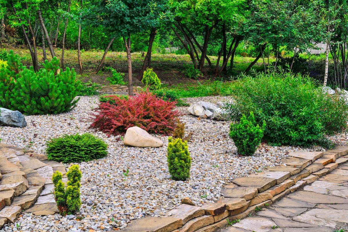 A home garden with multiple types of landscaping rocks including gravel and limestone slabs surrounding green shrubs.