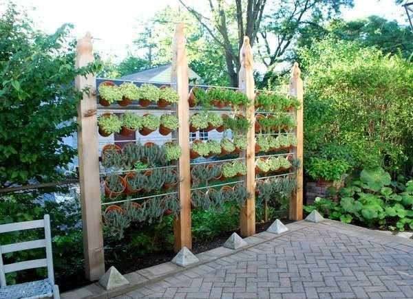 Plant wall for backyard privacty