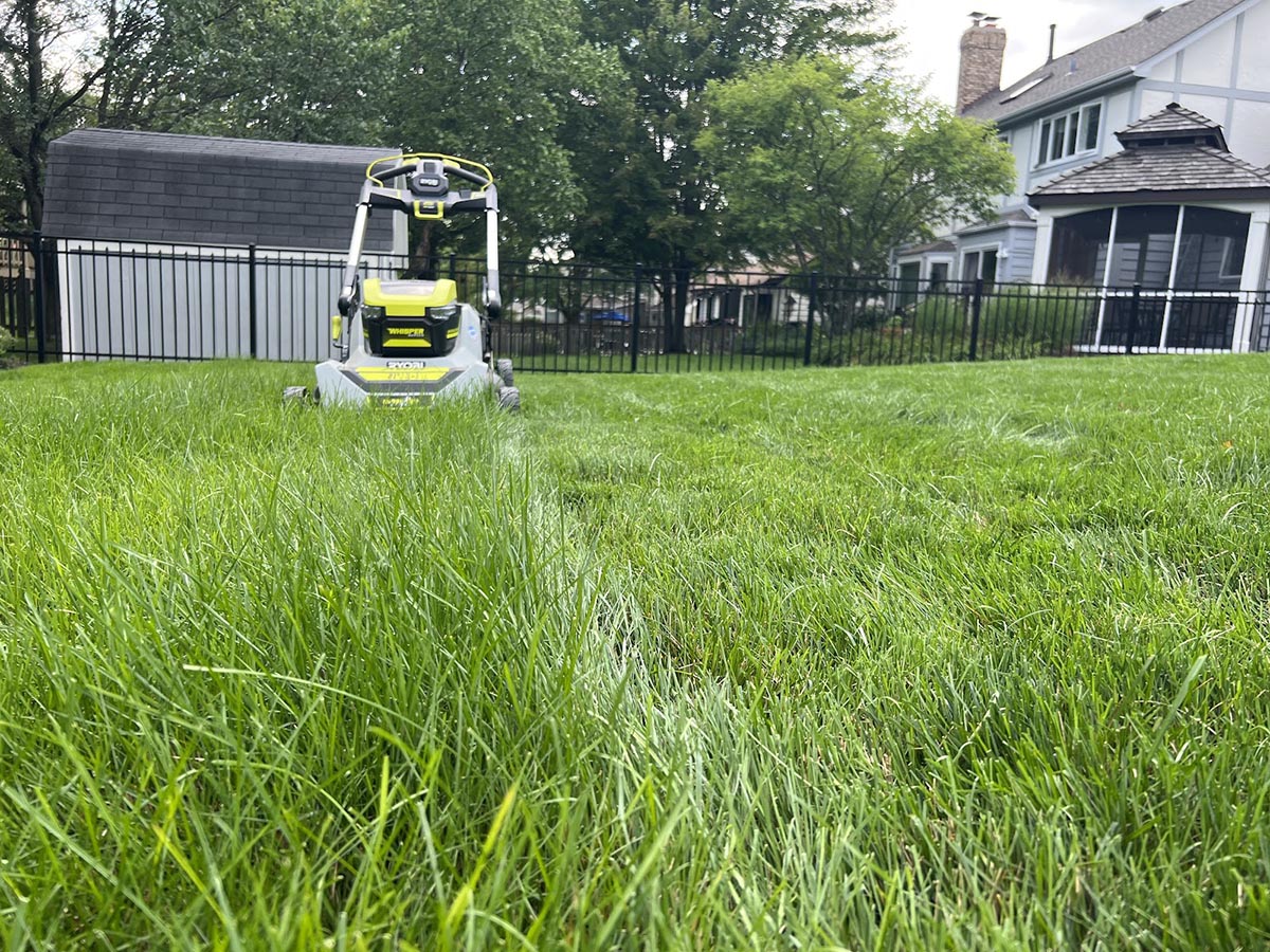 A closeup of the difference between grass height before and after using the Ryobi 21-inch self-propelled all-wheel-drive mower
