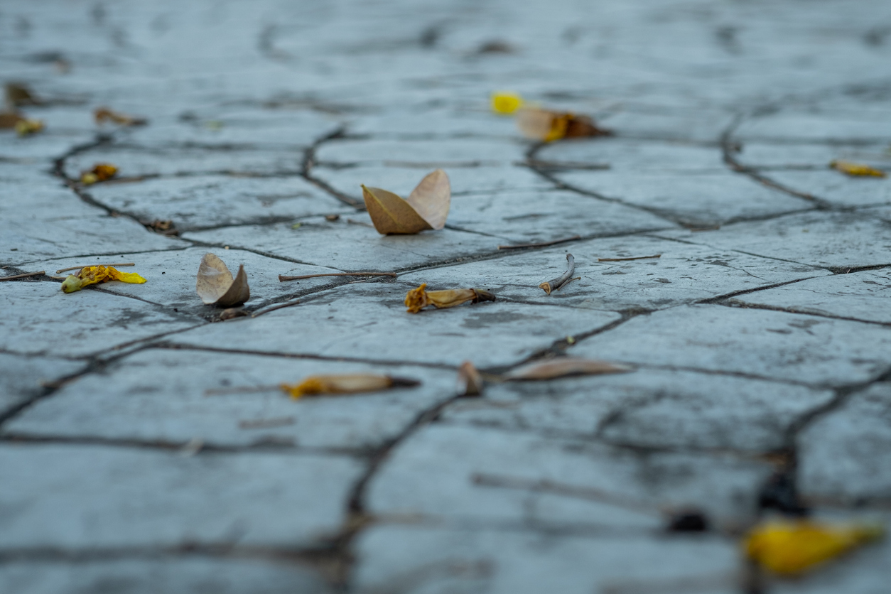 Closeup of stamped concrete walkway and fallen autumn leaves