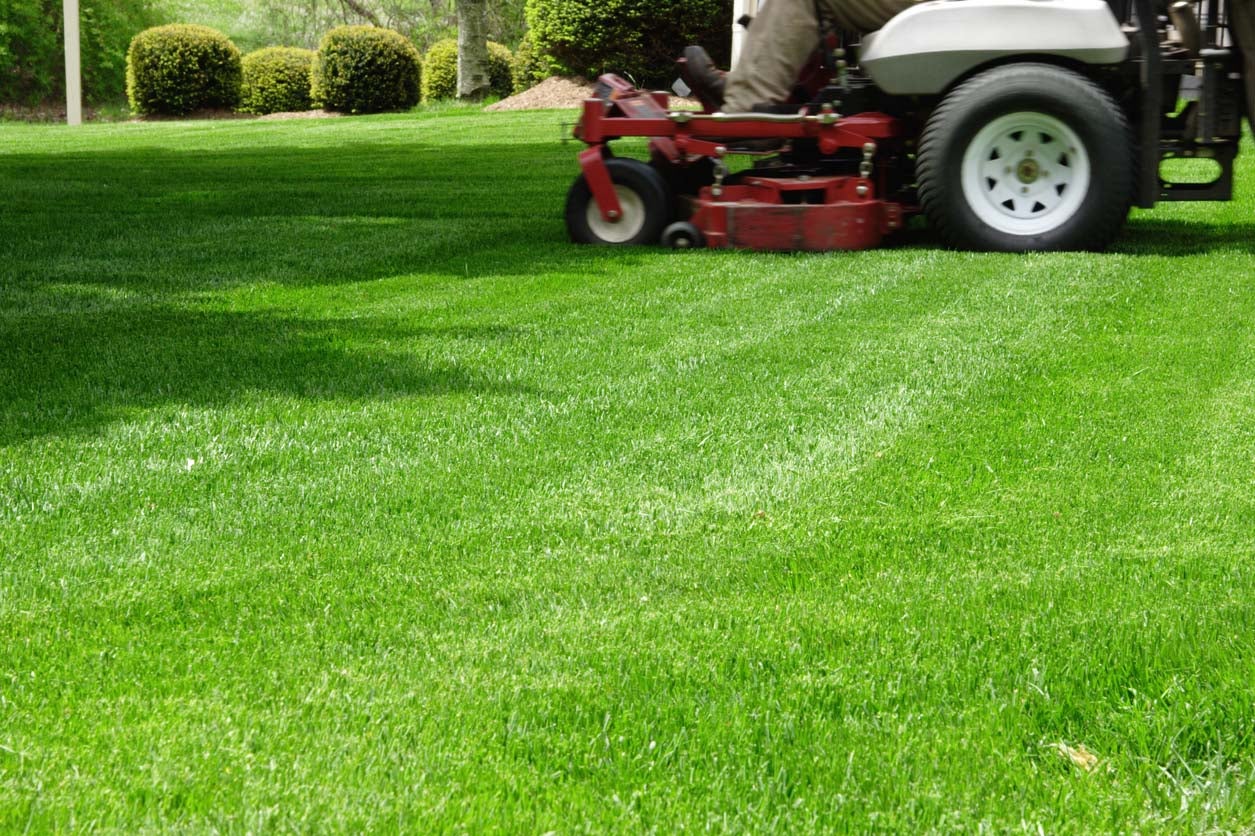 The Best Lawn Care Companies in Atlanta Options