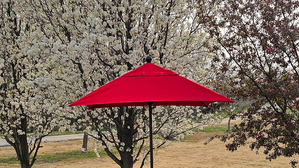 The Best Patio Umbrella California Umbrella close up for collage