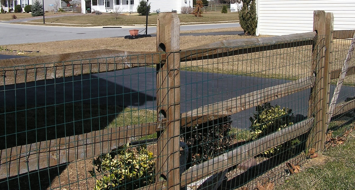 Hog wire fencing in a suburban yard.