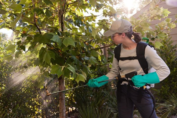 Aptive Pest Control Review: Everything You Need to Know - Bob Vila