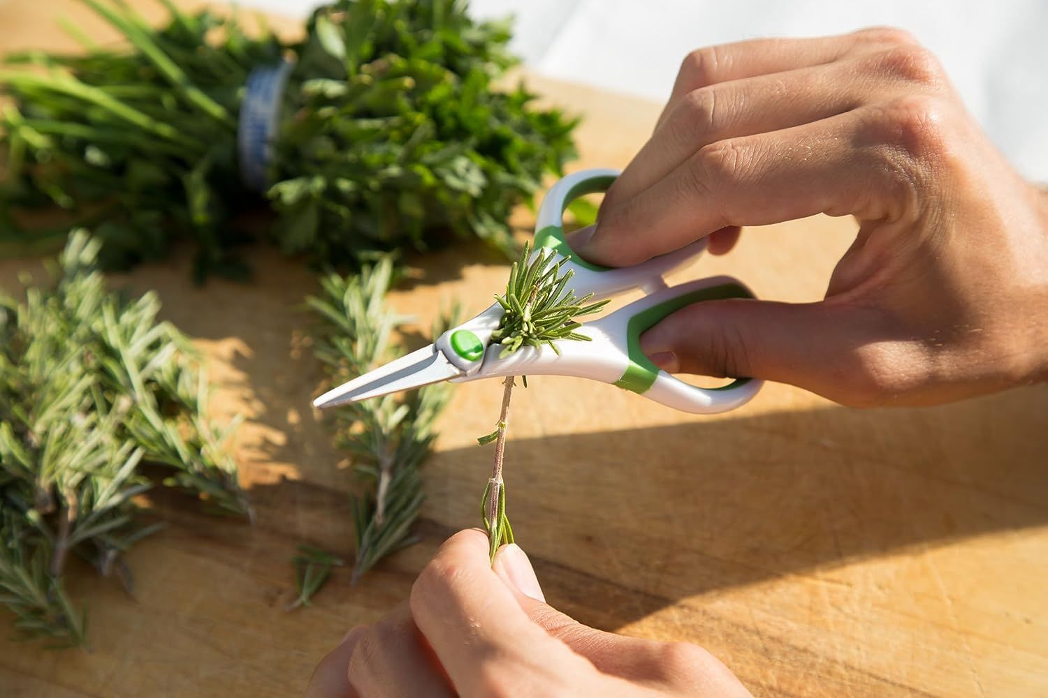 A person using the best herb scissors to remove rosemary leaves from their stems