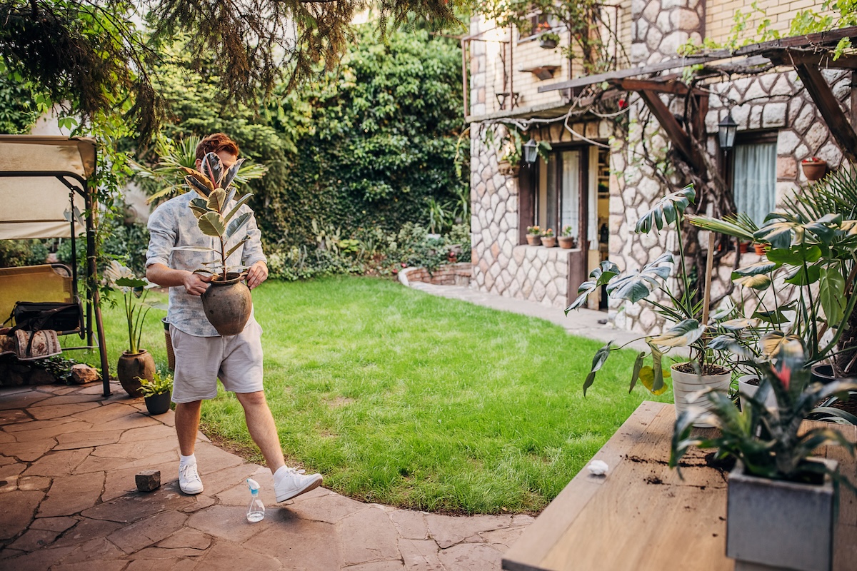 A man carries a potted plant into his backyard.