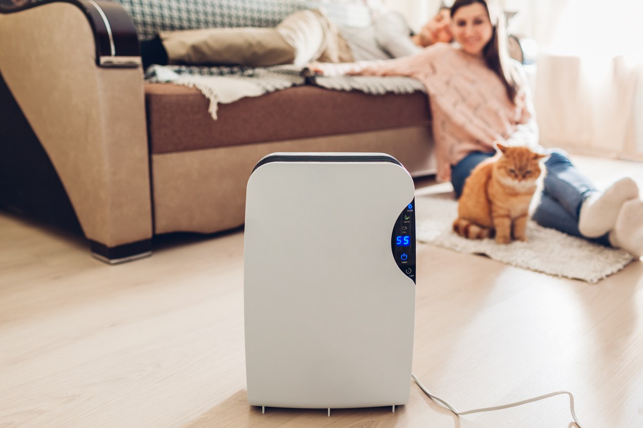 What Should the Humidity Be in My House? - Bob Vila
