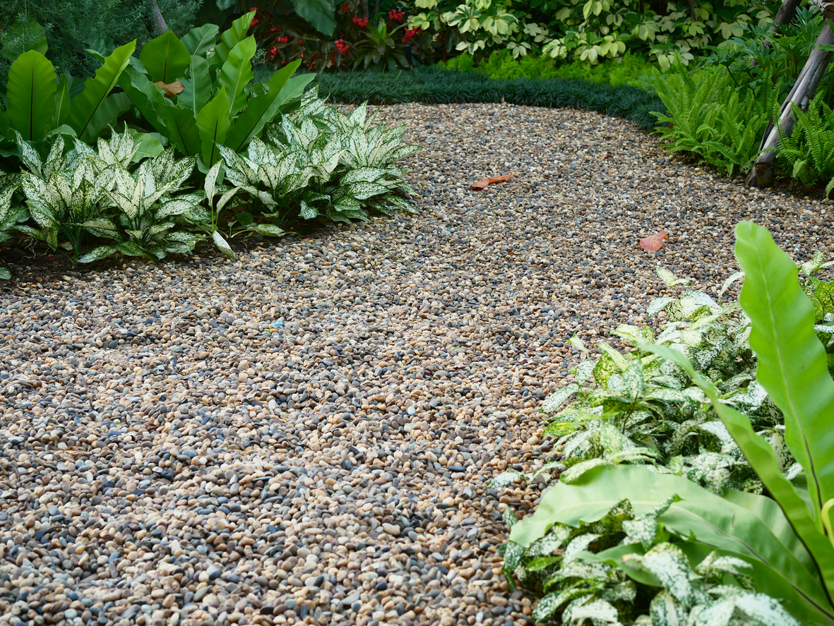 pea gravel landscaping rocks in a home zen garden