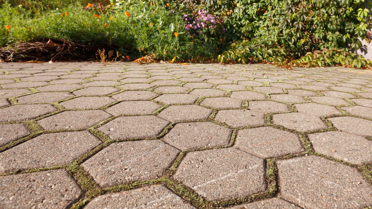 Stone garden path with moss growing between stones.