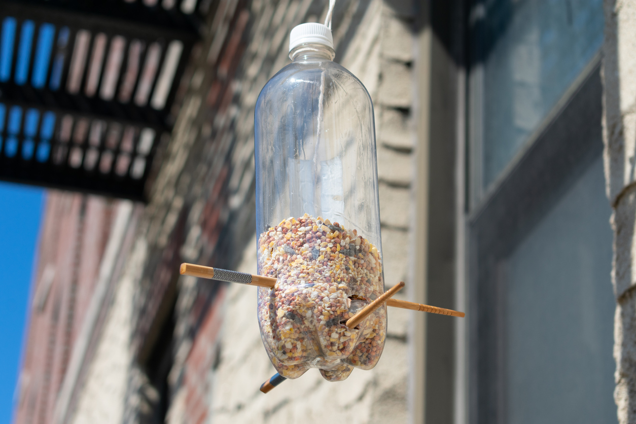 A closeup of a homemade plastic bottle bird feeder filled with bird seed hanging outside of an urban apartment building in New York City