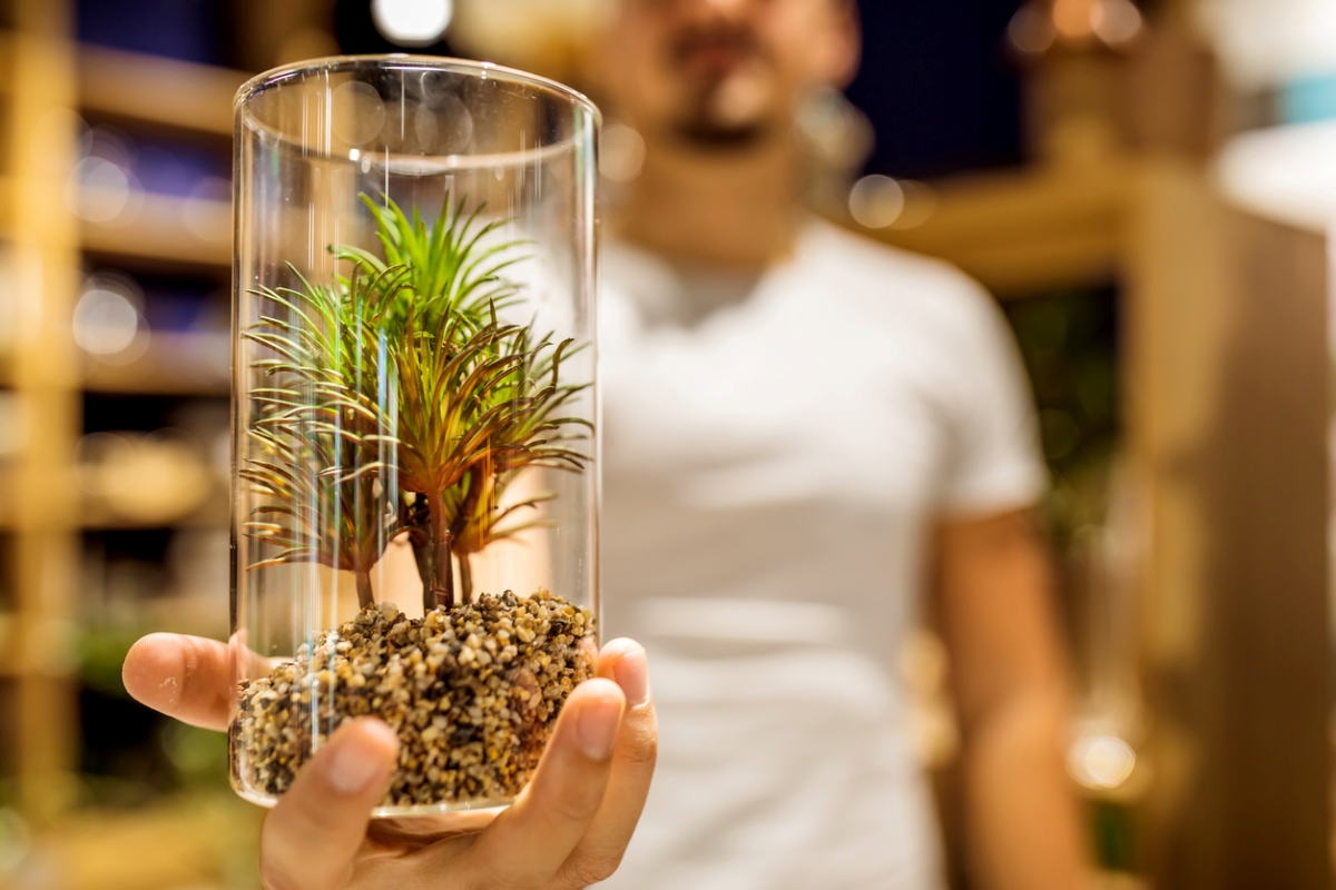 Man holding plant in glass with stones