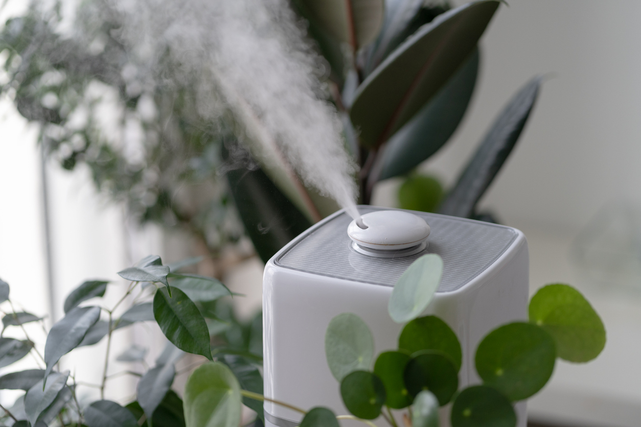 close view of steam rising from humidifier near houseplants inside