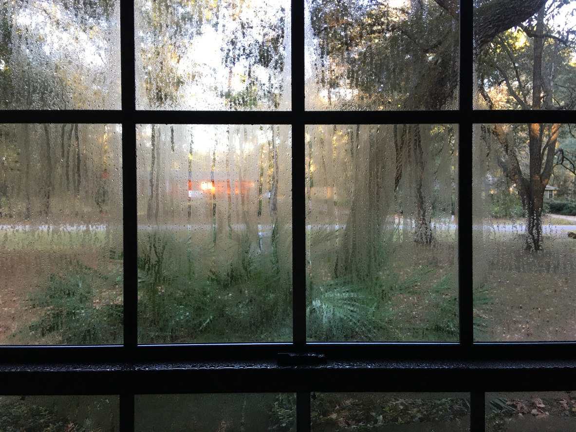 view of window with trees outside and condensation on window panes