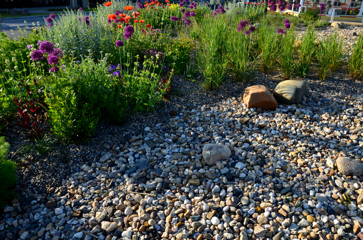 River rock fill surrounding a home wildflower garden