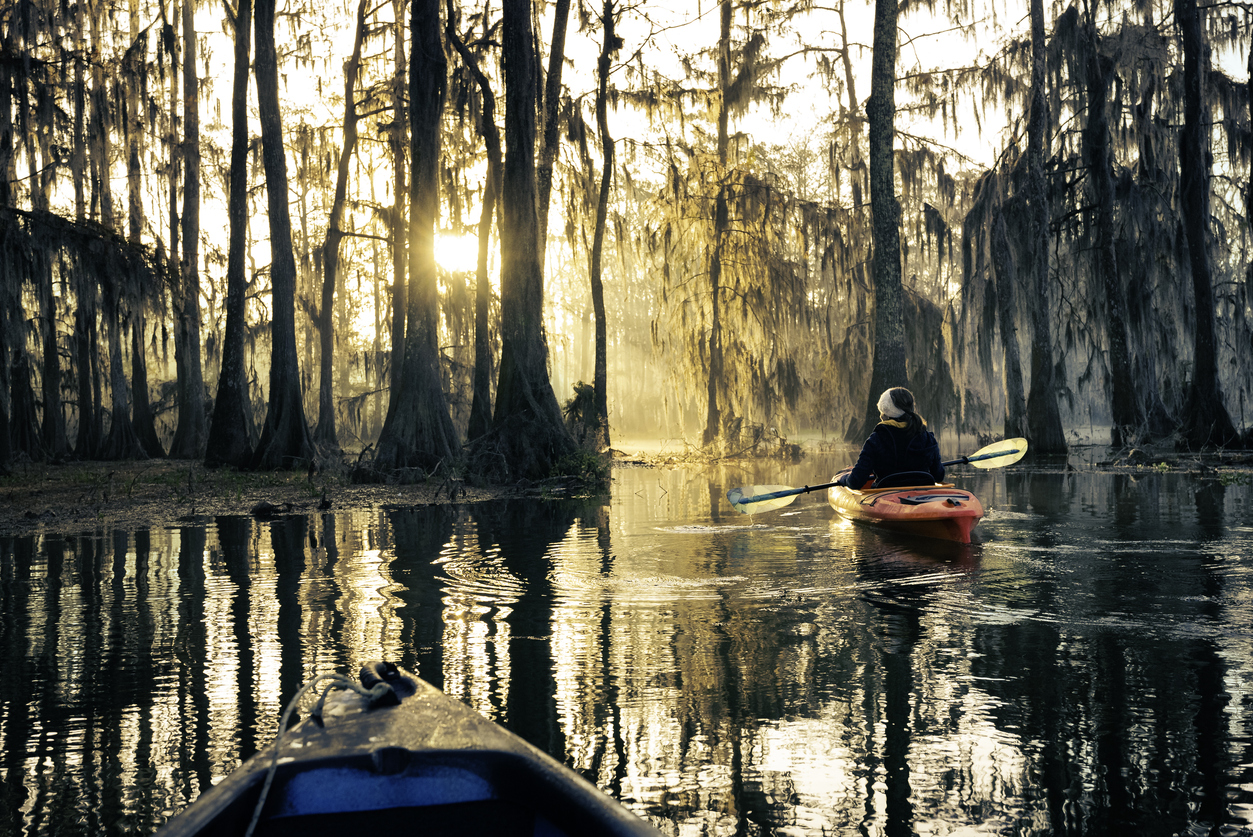 two people kayaking in a bayou in Louisiana