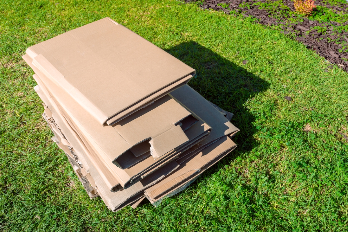 Stack of cardboard on green grass