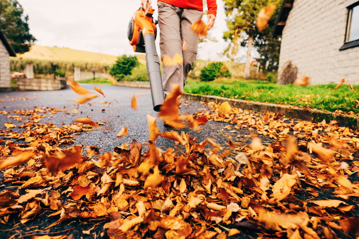 walking with orange leaf blower blowing brown leaves off street in autumn