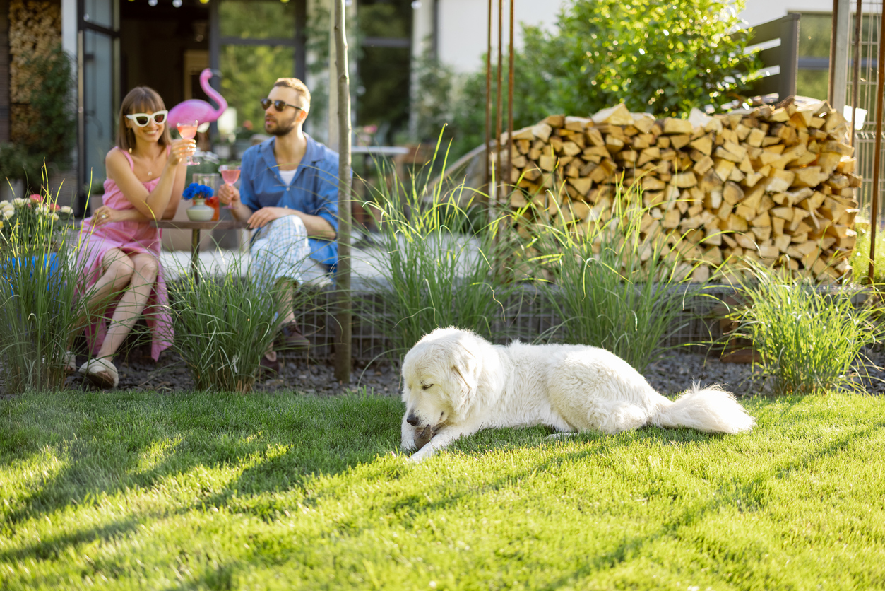 Young stylish couple have a drink while sitting together with dog on a lawn at their beautiful backyard of country house. Young man and woman spend summer time