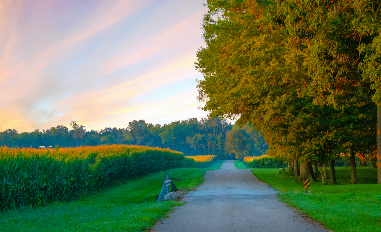 country road with corn field on one side and large trees turing orange on the other side