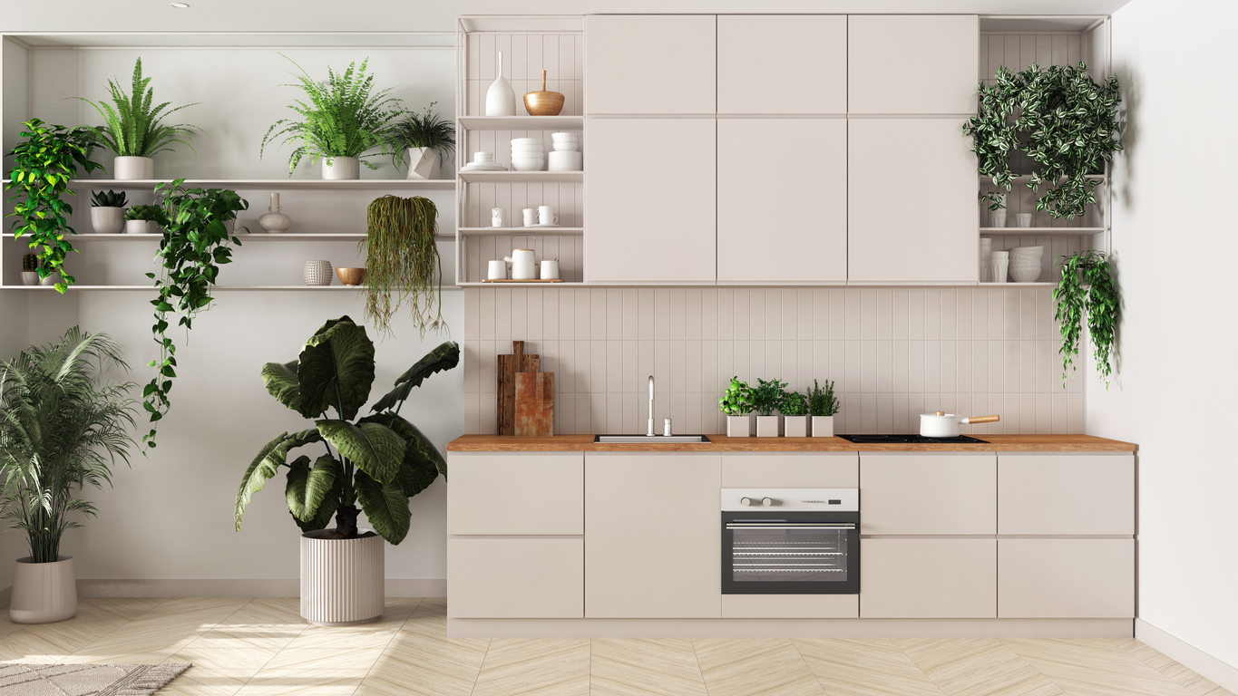Indoor home garden concept idea. Minimal kitchen interior design in white tones. Parquet, sofa and many house plants. Urban jungle background