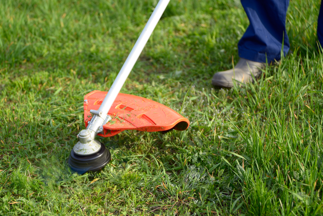 close view of a string trimmer cutting grass