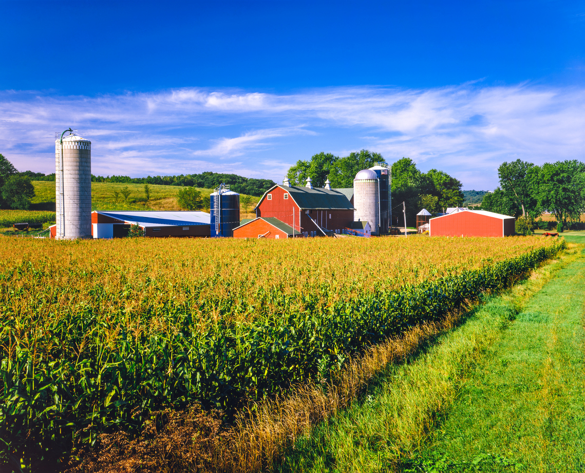 farm house and corn field in Iowa
