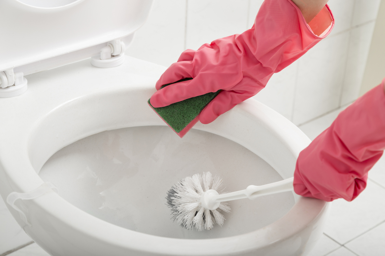 hands in pink cleaning gloves cleaning a toilet bowl with a toilet brush and sponge