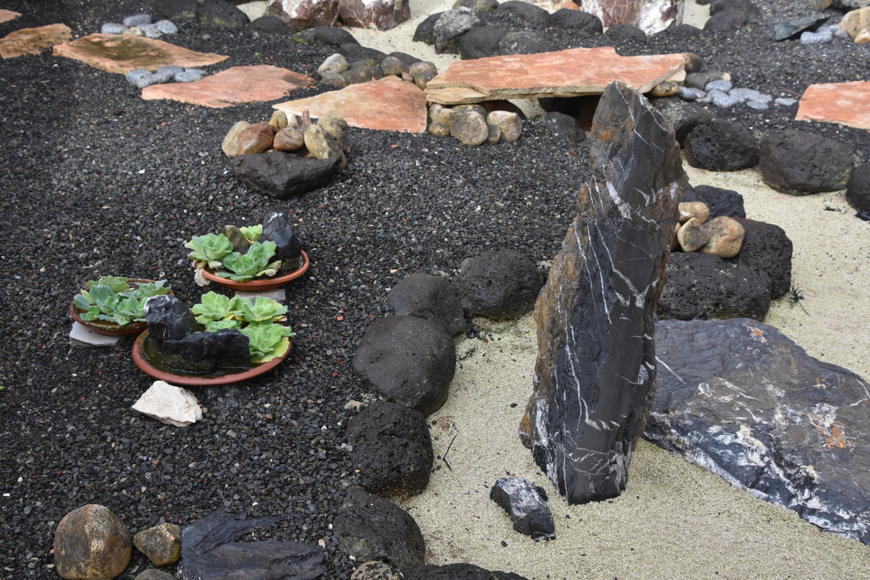 Zen garden of sand, succulent plants, and terra cotta planter plants among a bed of lava rock.