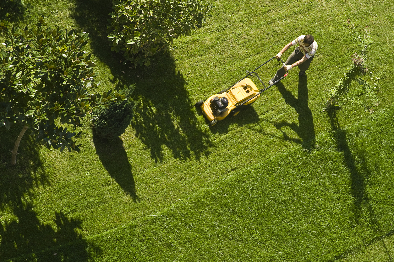 overhead view of man mowing the lawn
