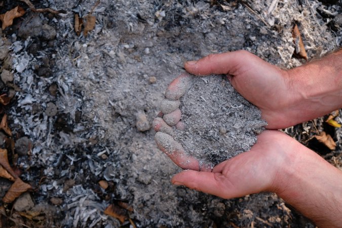 Man holding ashes from a fire pit