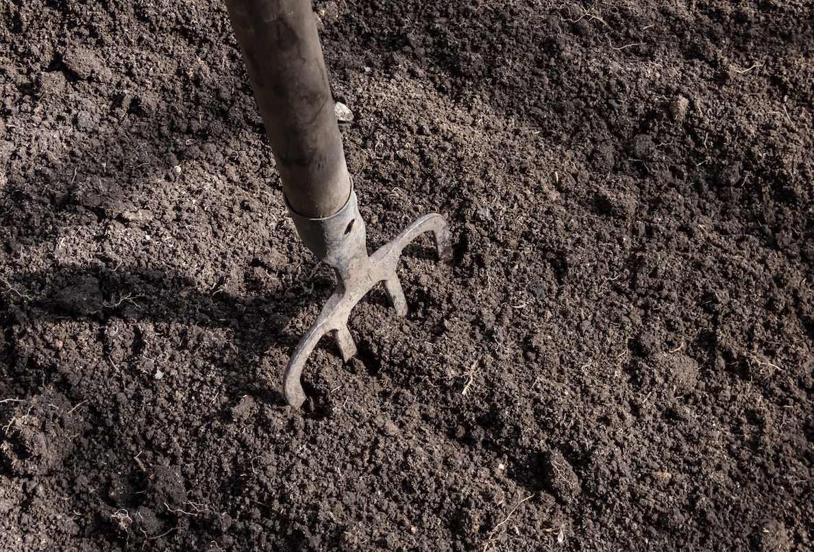 View of  raised garden bed and brown soil with pitchfork without any weeds, prepared for planting vegetables in early spring. 