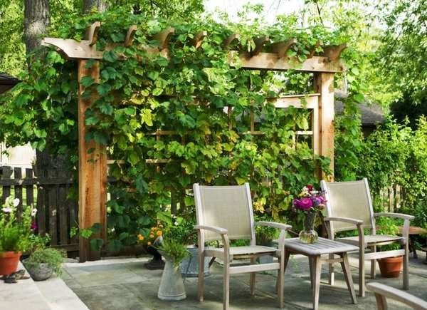 Privacy Trellis