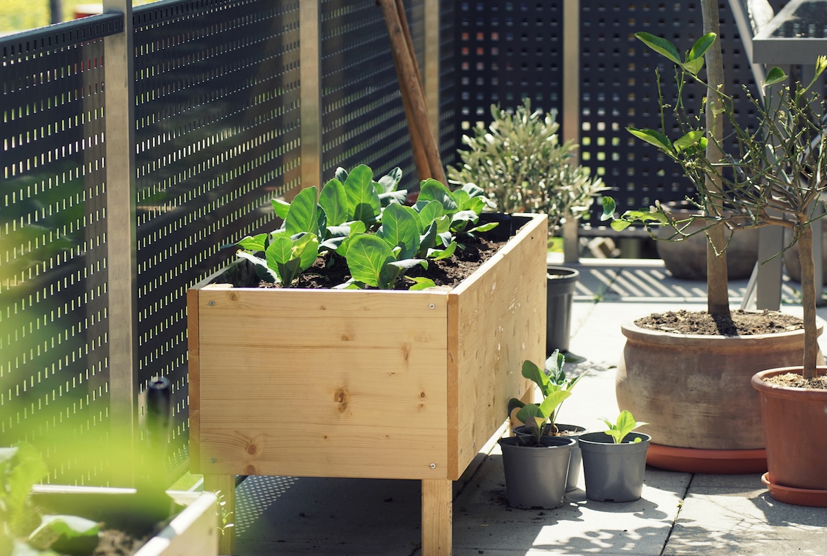 A footed raised garden bed on a patio, protected by a deck wall.