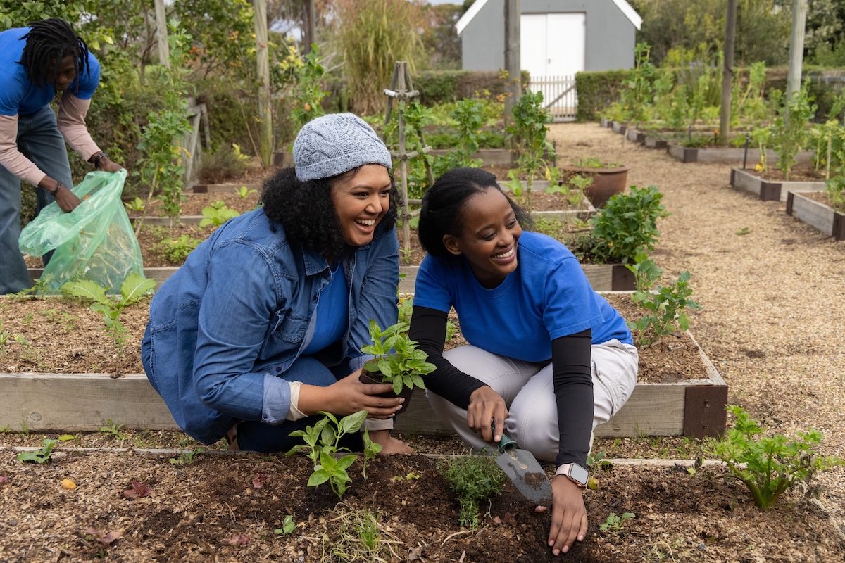 Two Black women smiling as they plant seedings in a raised bed garden.