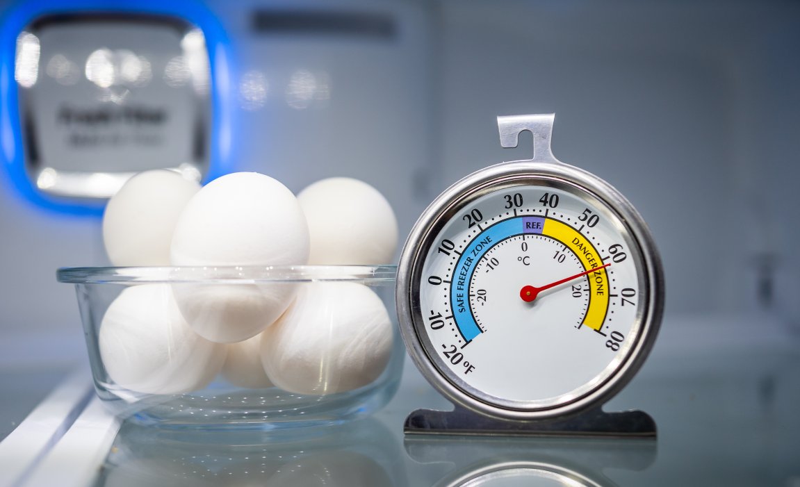 How Long Food Lasts in the Refrigerator During a Power Outage