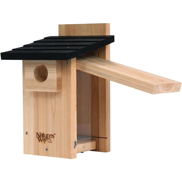  The Best Bird Houses Option: Nature's Way Bird Products Bluebird Box House