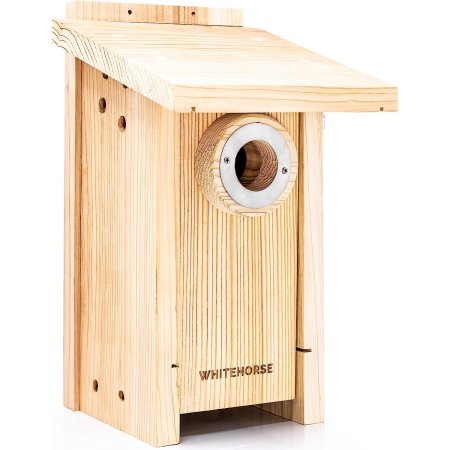  The Best Bird Houses Option: Whitehorse Birdhouse