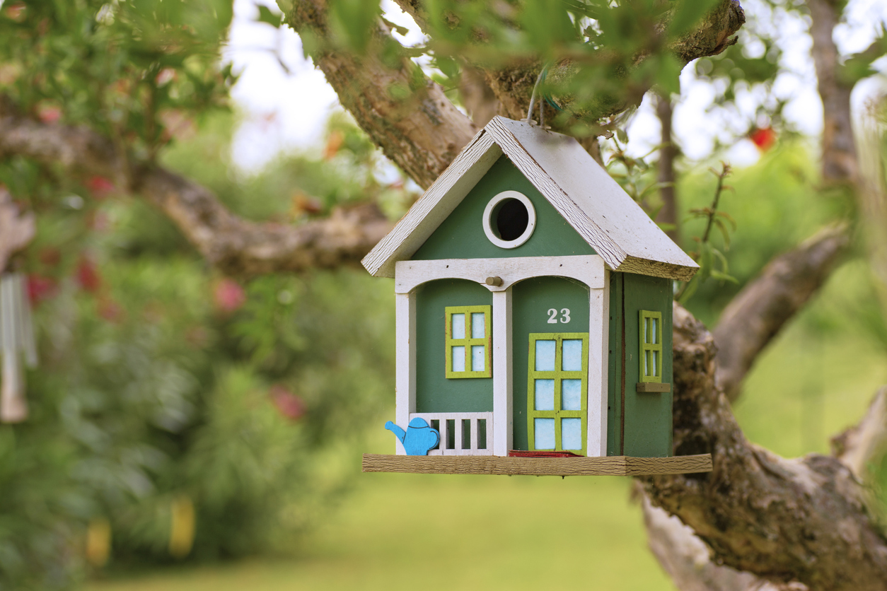 The best birdhouses option hanging from a tree in a yard