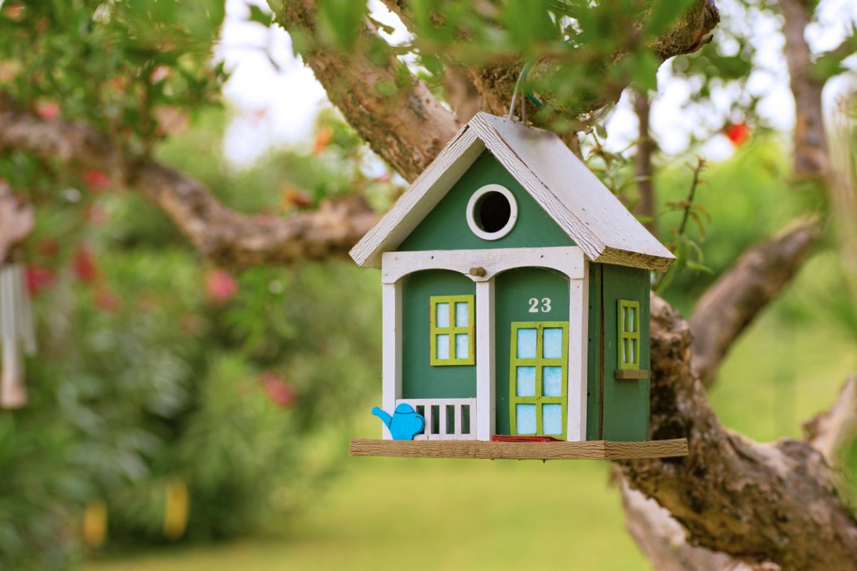 The best birdhouses option hanging from a tree in a yard