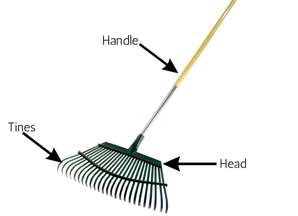 Labeled Parts of a Rake Diagram (Handle, Head, Tines)